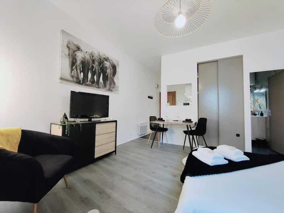 Cap Jungle 2pers Centre-ville Fibre Apartment Millau