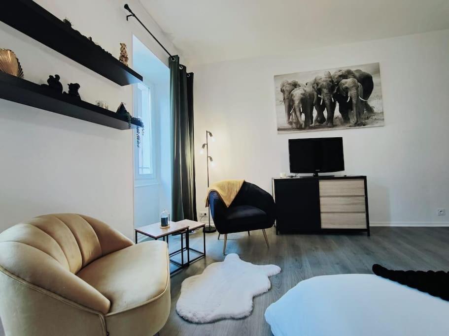 Appartement Cap Jungle 2pers Centre-ville Fibre